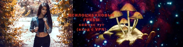 MESCALINE Ельня