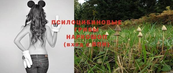spice Елизово