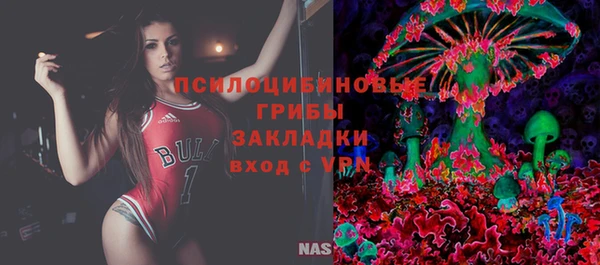 хмурый Елабуга