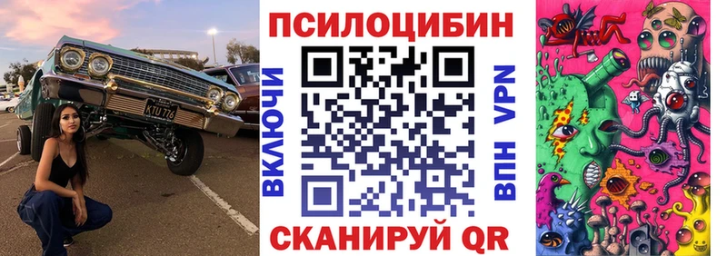 Купить закладки  Можайск  Галлюциногенные грибы GOLDEN TEACHER 
